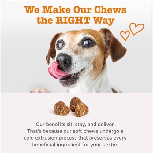 Zesty Paws Probiotics for Dogs, Digestive Enzymes Gut Flora, Digestive Health, Diarrhea & Bowel Support, DE111, Dog Probiotics Soft Chew for Pet Immune System, Chicken, 50 Ct — view 4