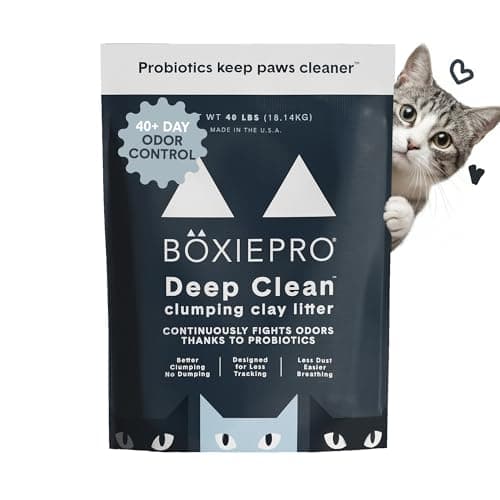 Boxie® Probiotic Cat Litter 40 Day Natural Odor Control, 40lb Clumping Kitty Litter (Clay)