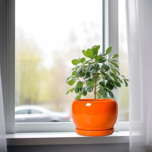 SQOWL Ceramic Pot for Plants - 8 Inch Plant Pot Indoor Outdoor, Modern Round Planter with Drainage Hole and Saucer, Decorative Planter for Flower, Office Decor, Garden Gifts for Women, Orange — view 3