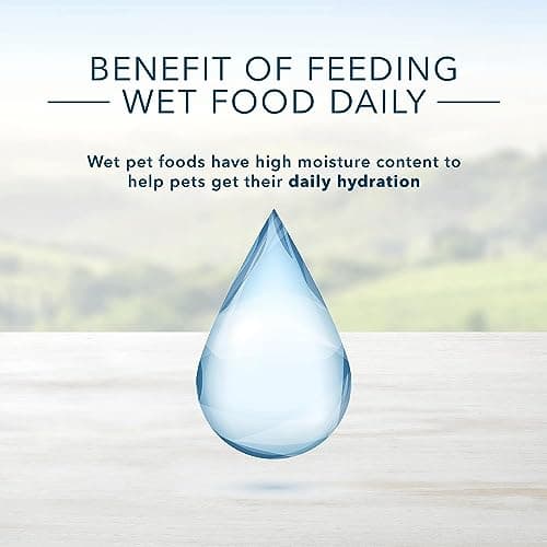 Blue Buffalo Homestyle Recipe Natural Wet Dog Food, Large Breed Chicken 12.5oz (Pack of 12) — view 3