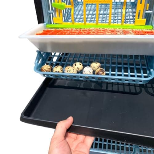 Quail Breeding Cage Indoor: 5 Layer Stackable Quail Coop, Easy Clean, Rust-Free, Easy Egg Collection (2024 Upgrades: Longer Waste Trays, Removable Middle Walls) Cimuka (Traditional) — view 4
