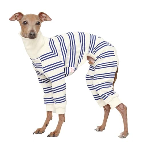 D Doggy Star Italian Greyhound Clothes Soft Stretchy Onesie Refined Stripe Outfit Whippet for Dog Coat (L,Onsi Blue Str)