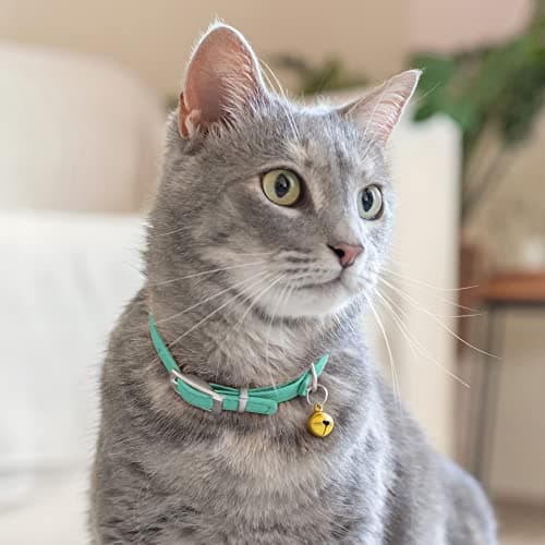CollarDirect Leather Cat Collar with Bell - Kitten Collar, Small and Big Cat Collar for Boy Cats, Girl Cats with Safety Elastic Strap (Neck Fit 8"-11", Mint Green) — view 5