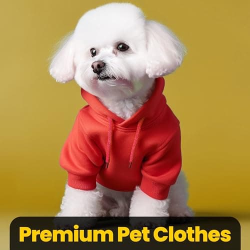 Funny Matching Dog and Owner Outfit Sweater - The Boss The Real Boss Pet & Owner Matching Hoodie Sweatshirt Cute Dog Clothes - Black/3XL Human | 2XL Dog — view 5