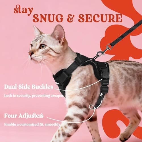 rabbitgoo Cat Harness and Leash for Walking, Escape Proof Soft Adjustable Vest Harnesses for Small Medium Cats, Easy Control Breathable Reflective Strips Jacket, XXS, Black — view 5
