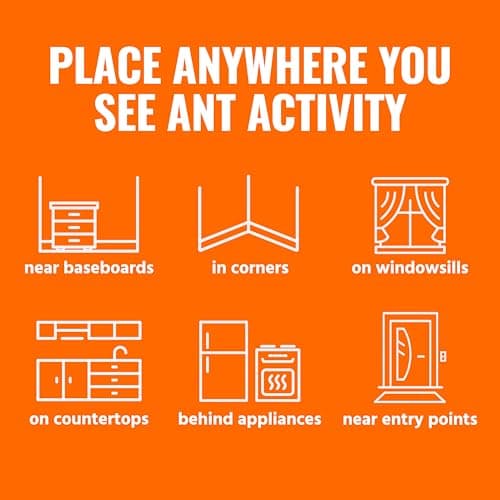 Terro, Ant Killer Bait Stations T300B - Liquid Bait to Eliminate Ants - Bait System - Stations for Effective Indoor Ant Control, 12 Count — view 7