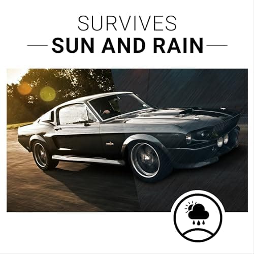 CAR GUYS Plastic Restorer | Bring Plastic, Rubber, and Vinyl Back to Life! | User Friendly Trim Restorer | Safe Auto Detailing Supplies | 8 Oz Kit with Foam Applicator — view 4