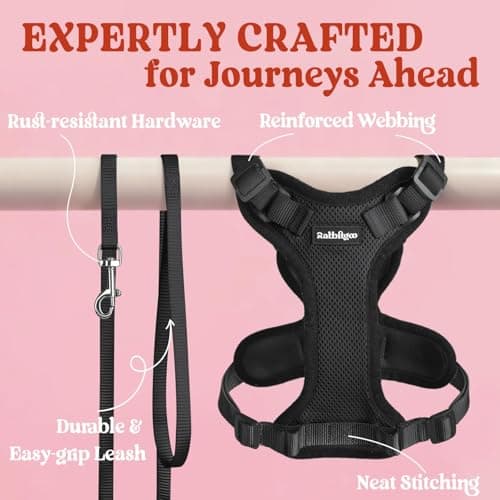 rabbitgoo Cat Harness and Leash for Walking, Escape Proof Soft Adjustable Vest Harnesses for Small Medium Cats, Easy Control Breathable Reflective Strips Jacket, XXS, Black — view 6