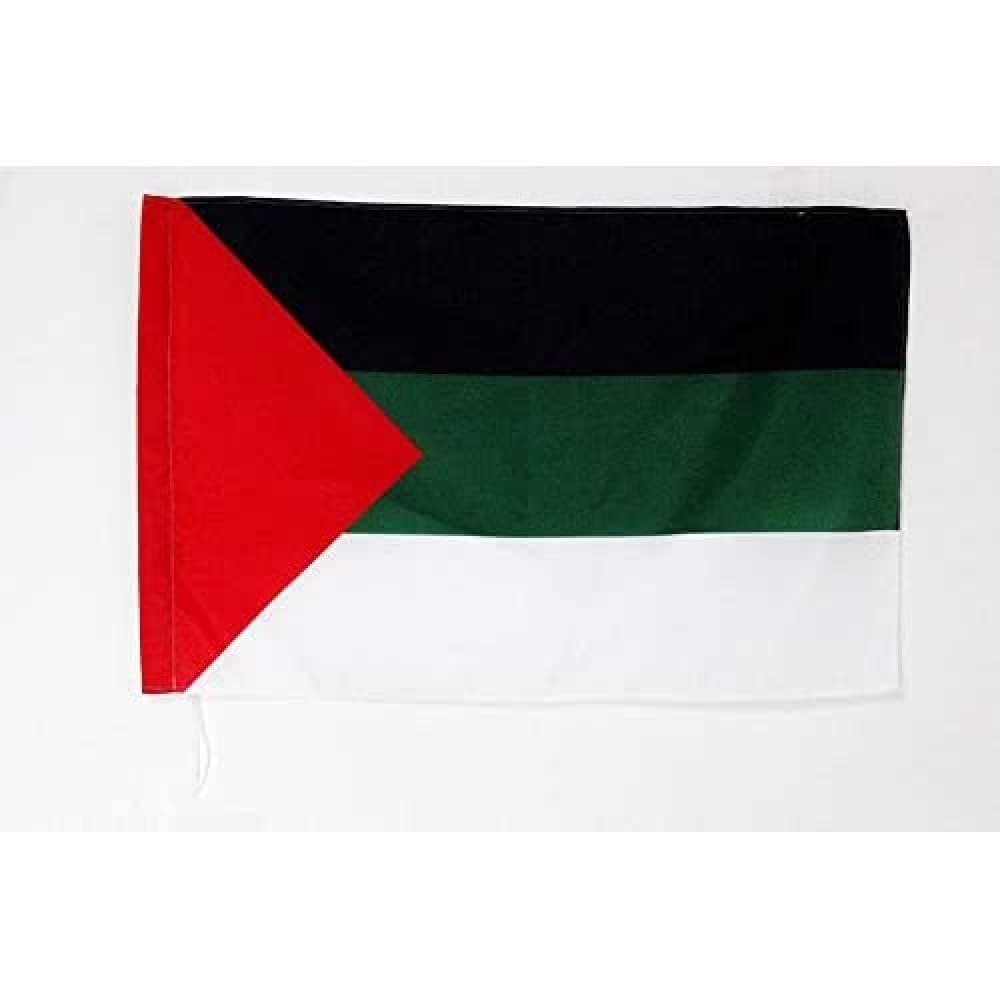 AZ FLAG - Gambia Flag - 2x3 Ft - 100D Polyester Gambian Banner with Two Metal Grommets - Fade Resistant - Vivid Colors - 2' x 3' Feet - 90x60 Cm — view 96