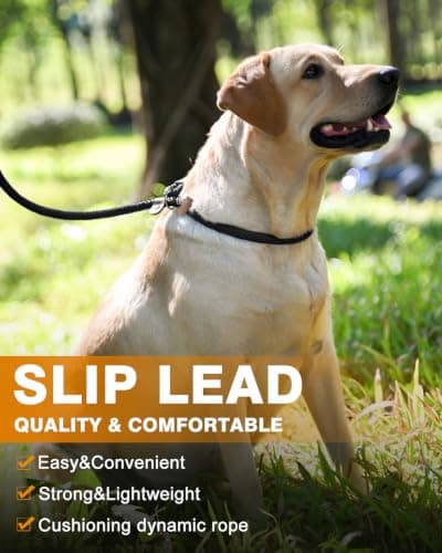 lynxking Dog Leash Slip Lead 5 6 8 FT Dog Training Leash Strong Heavy Duty Rope No Pull Training Lead Leashes for Dogs — view 6