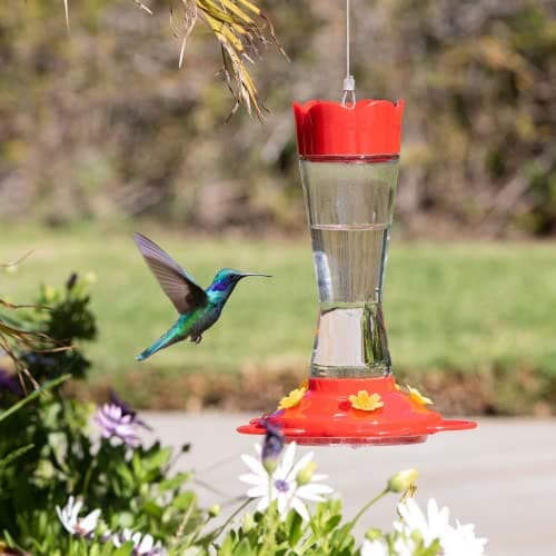 MEKKAPRO Hummingbird Feeders for Outdoors Glass - Red Hummingbird Feeders for Outdoors, Metal Ring, Bee-Proof Design, Easy Assembly, Red Hummingbird Feeder (Classic, 10oz - 2 Pack) — view 5
