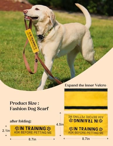 in Training Dog Leash Sleeve - Funny Yellow Alert Wrap with Hanging ID Patch | Ask Before Petting Service Dog Accessory, Perfect Pet Birthday Gift for Dog Owners — view 5