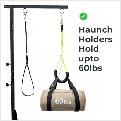 Dog Grooming Kit Adjustable Arm With Clamp: Height 26"-40", Small Dog Sling For Nail Trimming Hammock, no-sit Haunch Holder Leash Loops, Glove, Tool Hanging, Full Home Pet Grooming Supplies Kit, Cats — view 8