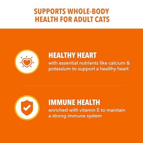 IAMS Proactive Health Dry Cat Food, Healthy Cat Food Dry Recipe for Adults, with Chicken 3.5 lb. Bag — view 3