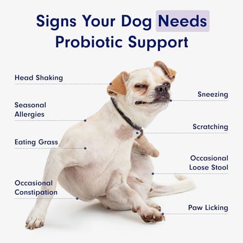PetLab Co. Probiotics for Dogs - Support Gut Health, Itchy Skin, Seasonal Allergies, and Yeast with Each Tasty Chew - Dog Probiotics - Safe for Small, Medium and Large Dogs - Packaging May Vary — view 5