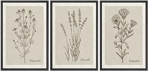 NWT Framed Canvas Print Wall Art Set Retro Vintage Antique Garden Wildflowers Nature Wilderness Illustrations Modern Art Decorative Minimalist Floral Botanical Flowers for Bedroom - 24"x36"x3 Black