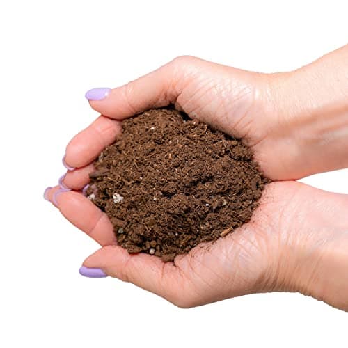 Gardenera Premium Monstera Potting Soil - Quick Drain Potting Soil for Growing and Repotting Monstera Deliciosa/Swiss Cheese Plant - 2 Quart Bag — view 5