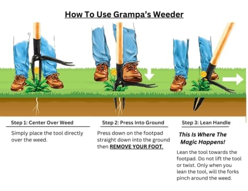 Grampa's Weeder - The Original Stand Up Weed Puller Tool with Long Handle - Made with Real Bamboo & 4-Claw Steel Head Design - Easily Remove Weeds Without Bending, Pulling, or Kneeling. — view 5