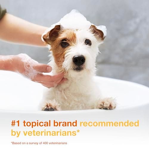 Douxo S3 Pyo Shampoo, Contains 3% Chlorhexidine & 0.5% Ophytrium, Antiseptic & Hydrating, for Bacterial or Yeast Skin Infections, for Dogs and Cats, 6.7 fl. oz. (200mL) — view 2