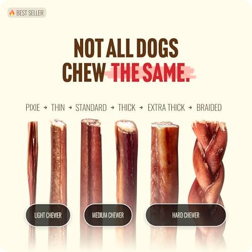 Natural Farm Odor Free Bully Sticks (2-3 Inch, 1 Pound) for Small & Medium Dogs - 100% Beef Chews for Pups, Non-GMO, Grain-Free, Fully Digestible Long Lasting Dog Treats — view 6