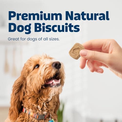 Blue Buffalo Health Bars Pumpkin & Cinnamon Crunchy Dog Biscuits, Oven-Baked with Pumpkin & Natural Ingredients, Healthy Dog Treats with No Artificial Flavors or Preservatives, 16 oz. — view 2