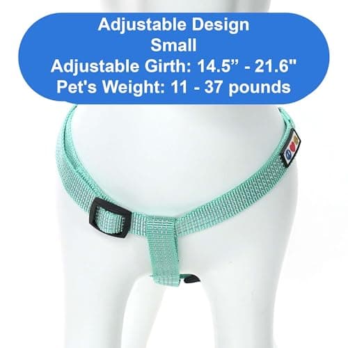 Pawtitas Reflective Step-in Dog Harness – Adjustable No-Pull Vest for Puppies to Seniors, Safe & Comfortable, S Teal — view 3