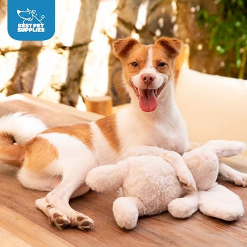 Best Pet Supplies Interactive Squeaky Dog Chew Toy, Ideal Dog Toys for Chewers, Small, Medium & Large Dogs, and Fetch Lovers - Bunny (Beige), Large — view 5