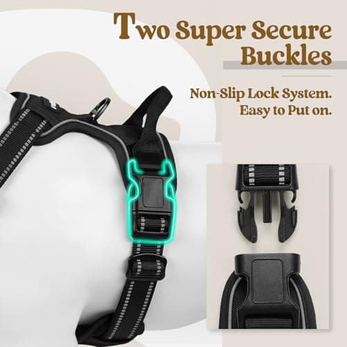 rabbitgoo Dog Harness, No-Pull Pet Harness with 2 Leash Clips, Adjustable Soft Padded Vest, Reflective No-Choke Pet Oxford Vest with Easy Control Handle for Large Dogs, Black, L — view 3