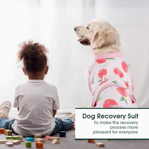 Kuoser Dog Recovery Suit Female, Dog Onesie for Surgery, Female Spay and Male Neuter Onesie for Post-Op Care, Prevent Licking Puppy Onesies — view 4