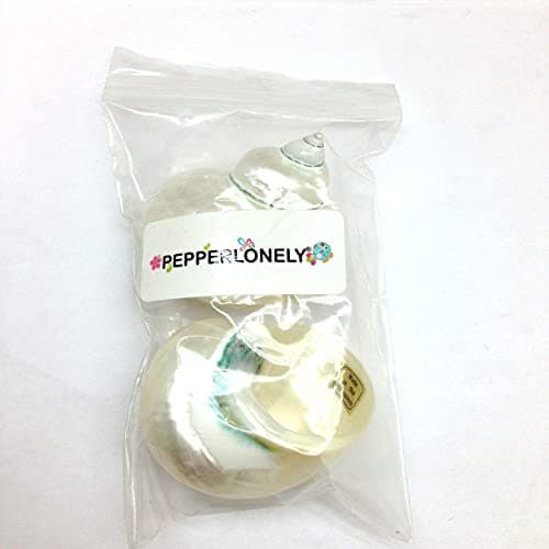 PEPPERLONELY 2 PC White Large Pearlized Silver Mouth Turbo, Hermit Crab Shells, 3 Inch ~ 3-1/2 Inch — view 2