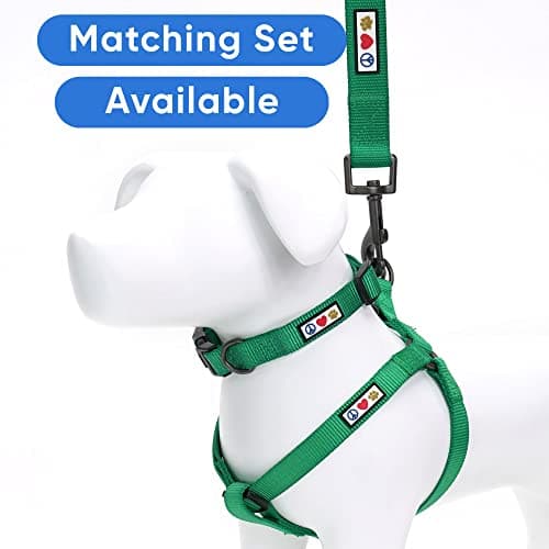 Pawtitas Extra Small Solid Lush Green Dog Collar - Adjustable Puppy Collar with Matching Leash and Harness — view 4