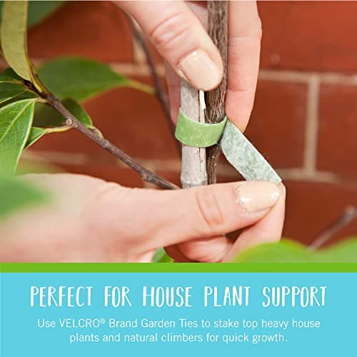 VELCRO Brand Adjustable Plant Ties | 75 ft x 1/2 in Green Garden Tape | Reusable, Cut-to-Length Hook & Loop Plant Support for Staking, Training & Organizing Tomatoes, Vines, and Flowers — view 4