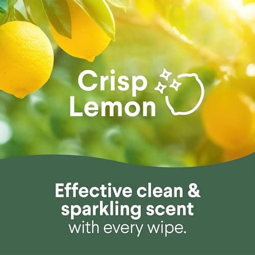 Clorox Disinfecting Cleaning Wipes Variety Pack, 75 Count Each, Pack of 2 (Package May Vary) — view 2