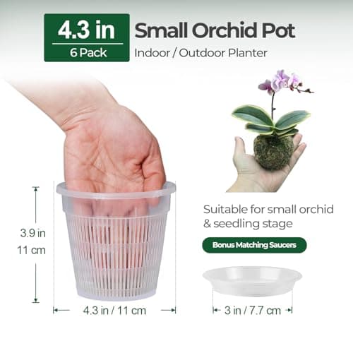 T4U Orchid Pots, 4.3 Inch 6 Pack Plastic Nursery Pots with Holes and Saucers, Slotted Breathable Planter for Orchid Lovers, Indoor Windowsill Decor for Phalaenopsis and Cattleya