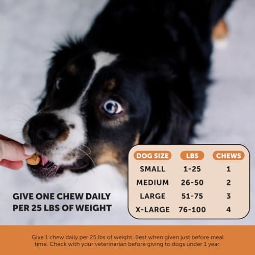 Advanced Formula Hip + Joint Supplement for Dogs - Joint Support with Glucosamine Chondroitin, MSM & Calcium Fructoborate - Fast Acting Mobility + Stiffness for Large Dogs & Seniors (Bacon 90 Ct) — view 3