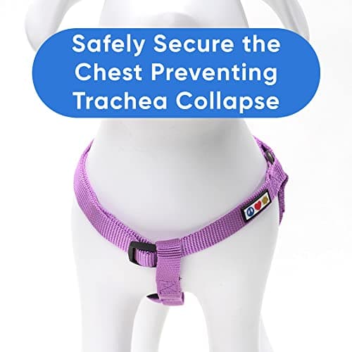 Pawtitas Solid Step-in Dog Harness – Adjustable No-Pull Vest for Puppies to Seniors, Safe & Comfortable XS Orchid — view 4