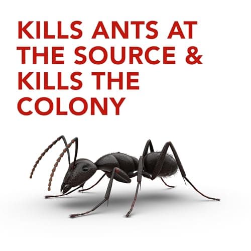 Raid Ant Killer Baits and Traps, Kills Ants Where They Breed, For Indoor Use, Child Resistant, 4 Bait Stations — view 2