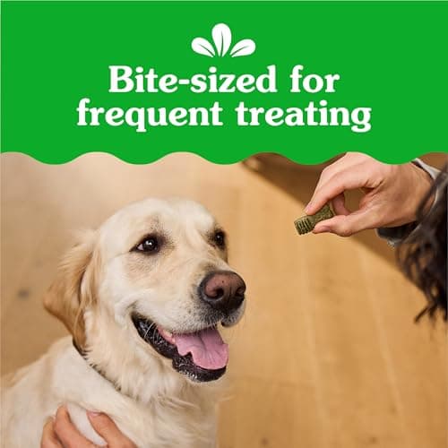 Greenies Anytime Bites Dog Treats, Blueberry Flavor, Dog Training Treats, 10.3 oz. Bag — view 3