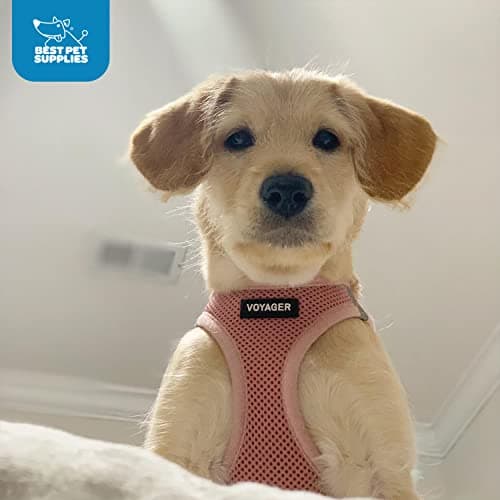 Best Pet Supplies Voyager Step-in Air Dog Harness - All Weather Mesh, Reflective, No Pull Harness for Small, Medium Dogs, Cats - Secure with Hook & Loop Fastener, Buckle, Double D-Rings - Pink, S — view 9
