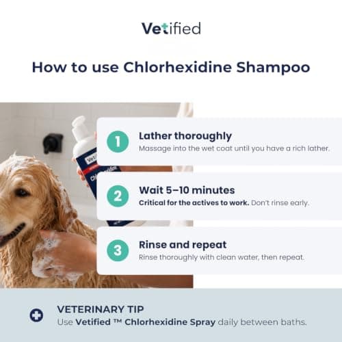 VETIFIED Chlorhexidine Shampoo 16 fl oz - NDC: 86247-002-16 — view 4