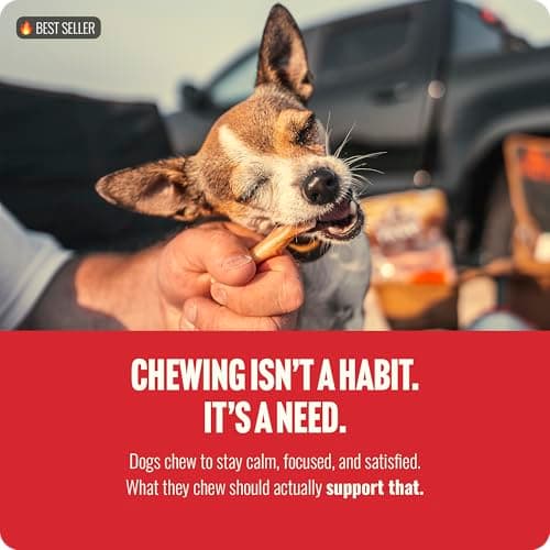 Natural Farm Odor Free Bully Sticks (2-3 Inch, 1 Pound) for Small & Medium Dogs - 100% Beef Chews for Pups, Non-GMO, Grain-Free, Fully Digestible Long Lasting Dog Treats — view 3