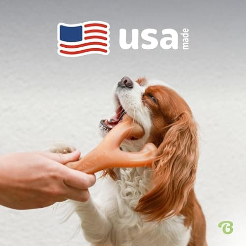 Benebone Wishbone Durable Dog Chew Toy for Aggressive Chewers, Real Bacon, Made in USA, Medium — view 4