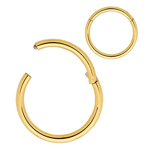 (18G 5mm) Surgical Steel Septum Tragus Helix Hinged Segment Nose Lip Ring Hoop Earrings Body Piercing Jewellery