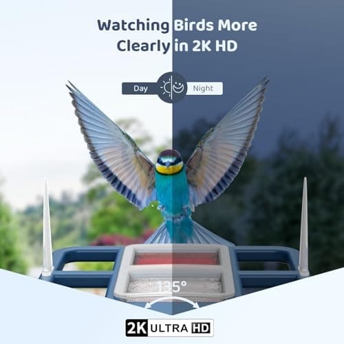 LIWAN Bird Feeder with Camera Solar Powered, 1 Year Trial AI Identify, 2K Live Video, Smart Bird Feeder Camera Wireless Outdoors, 2.4GHZ WiFi, Instant Arrival Alerts, Bird Lover Gifts — view 4