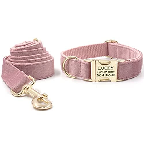PETDURO Custom Dog Collar Personalized with Name Engraved Gold Metal Buckle for Large Medium Small Female Girl Dogs - Dog Leash and Bow Tie Set Available - Soft Comfy Velvet (Champagne Pink, S) — view 5