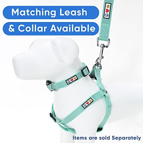 Pawtitas Reflective Step-in Dog Harness – Adjustable No-Pull Vest for Puppies to Seniors, Safe & Comfortable, S Teal — view 5