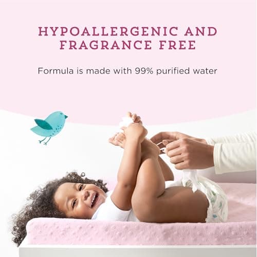 Amazon Brand - Mama Bear 99% Water Baby Wipes, Hypoallergenic,formulated without Fragrance, 72 Count — view 3