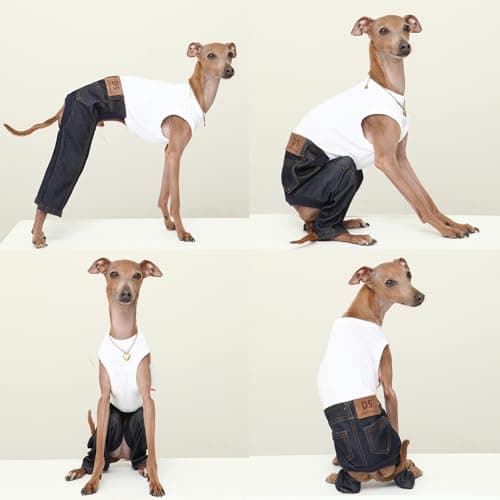 D Doggy Star Italian Greyhound Clothes Sleeveless Jeans Onesie Outfit Whippet for Dog Coat (M,Blue Jean) — view 2