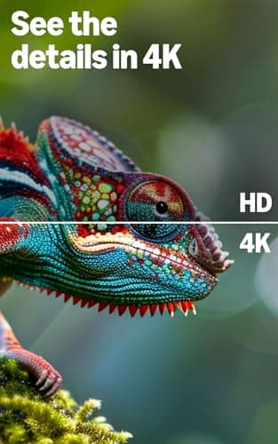Amazon Ember 43" 4-Series with Fire TV (newest model), 4K Ultra HD smart TV with Alexa Remote, HDR10+, fast processor, Dolby Audio, Ambient Experience, free and live TV, find shows faster with Alexa+ — view 5