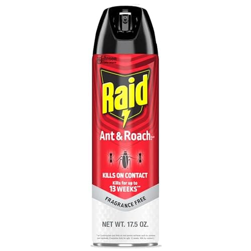 Raid Ant & Roach Killer, Fragrance Free Bug Killer for Home Use, Kills Bugs on Contact, 17.5oz